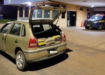 Motorista é preso com mais de 160kg de maconha em veículo no interior