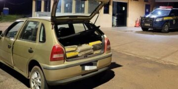 Motorista é preso com mais de 160kg de maconha em veículo no interior