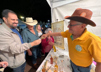 Festa do Queijo de Rochedinho impulsiona economia criativa regional