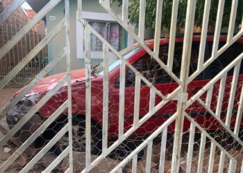 Homem que seria agiota “metido a bravo” é baleado no Caiobá e fica em estado grave 