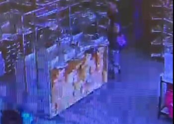 Vídeo: na cara dura, mulher furta celular de em loja de sapatos no Centro