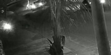 Ébrio, homem m*rre atropelado em avenida no Jardim Anache 