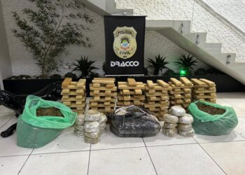 Polícia desmantelou grande rede de tráfico de drogas em Campo Grande