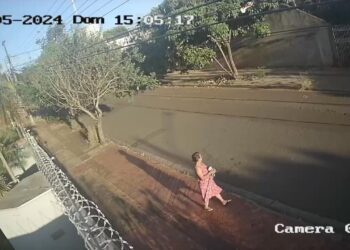 Filhote de Nero é flagrada, por duas vezes, ateando fogo em terreno baldio no Monte Castelo