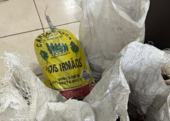 Homem é preso por tráfico de drogas e receptação em Campo Grande