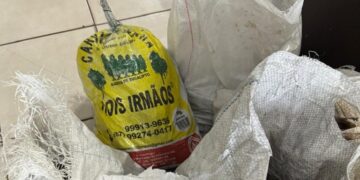 Homem é preso por tráfico de drogas e receptação em Campo Grande