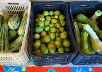 Através do PAA, Prefeitura distribuiu mais de 1 tonelada de alimentos para instituições locais