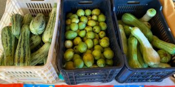 Através do PAA, Prefeitura distribuiu mais de 1 tonelada de alimentos para instituições locais