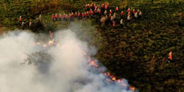 Treinamento de combate ao fogo qualifica novos soldados dos Bombeiros para atuar em incêndios florestais