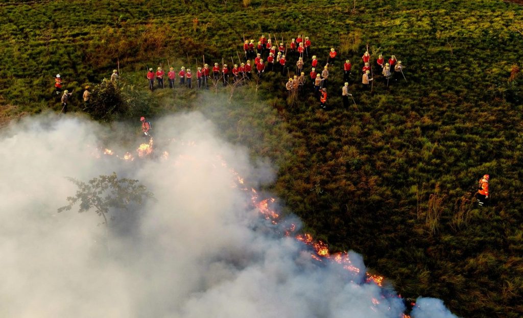 Treinamento de combate ao fogo qualifica novos soldados dos Bombeiros para atuar em incêndios florestais