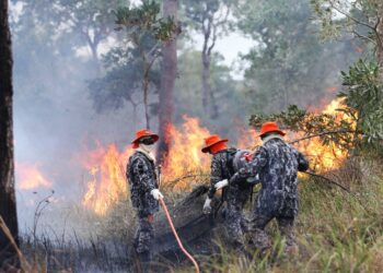 Sob coordenação dos bombeiros de MS, Força Nacional já atua no combate ao fogo no Pantanal