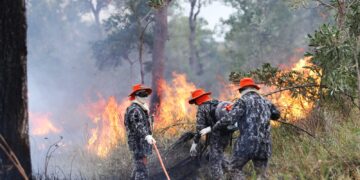 Sob coordenação dos bombeiros de MS, Força Nacional já atua no combate ao fogo no Pantanal