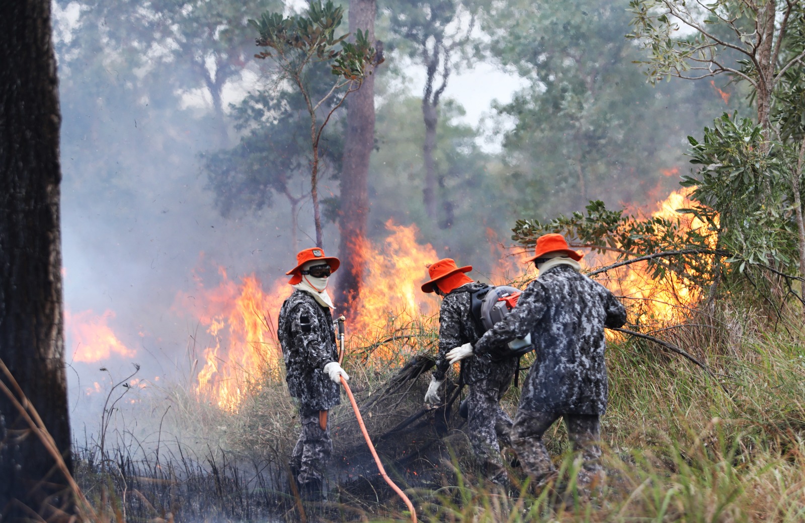 Sob coordenação dos bombeiros de MS, Força Nacional já atua no combate ao fogo no Pantanal