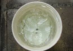 Bebê de um ano tenta pegar brinquedo em balde e m*rre afogado em MS