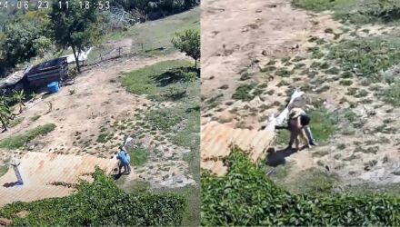 Gritos, desespero e trama macabra: imagens mostram luta de jovem com idoso que tentou m*ta-la