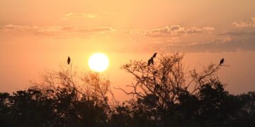 Calor volta ao Mato Grosso do Sul e fim de semana pode registrar temperaturas de até 34ºC