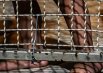 Idoso é flagrado estupr4nd0 criança em pensionato de Ponta Porã