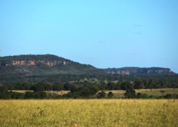 Sexta-feira tem previsão de tempo firme, com sol e baixa umidade do ar em Mato Grosso do Sul