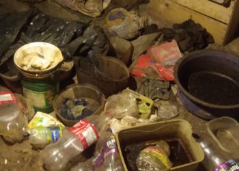 Vídeo: idosa que vivia em cárcere privado é resgatada de casa imunda no Jardim Colúmbia; marido alega esquizofrenia