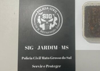 Polícia Civil concluí investigação de furto em Jardim