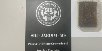 Polícia Civil concluí investigação de furto em Jardim