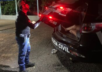 Polícia esclarece o assassinato em Juti e prende mulher no local