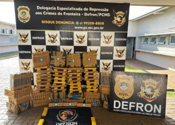 Polícia Civil prende homem com meia tonelada de maconha em Ponta Porã