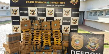 Polícia Civil prende homem com meia tonelada de maconha em Ponta Porã