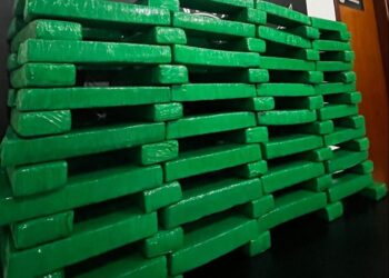 Mais de 80kg de maconha são aprendidos na Capital