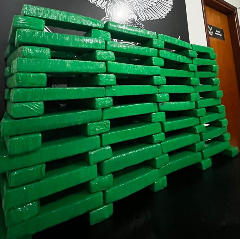 Mais de 80kg de maconha são aprendidos na Capital