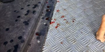 Homem é preso após ser denunciado pela irmã por prática de zoofilia