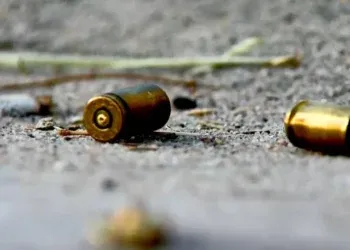 Idoso é baleado na cabeça ao fugir de tentativa de roubo em rodovia de Bonito Idoso é baleado na cabeça ao fugir de tentativa de roubo em rodovia de Bonito