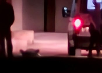 Homem m*rre prensado por caminhão em empresa de transporte