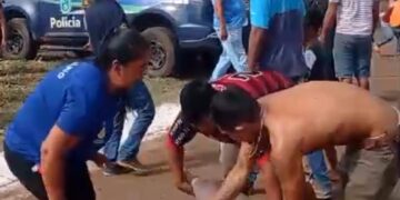 Vídeo: Carreta com porcos tomba em Dourados e populares saqueiam carga viva