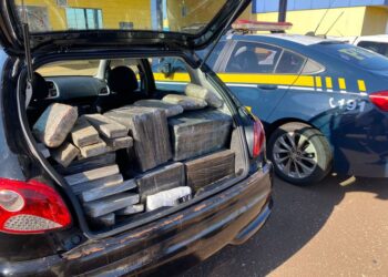 Mais de 600 Kg de maconha são apreendidos dentro de veículos em Naviraí