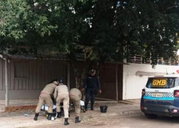 Homem tem surto e se joga na frente de veículos em Bonito