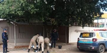 Homem tem surto e se joga na frente de veículos em Bonito