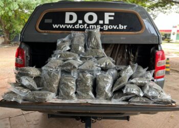 Passageiro que viajava de Ponta Porã para Campo Grande é preso com 10kg de skunk em bagagem