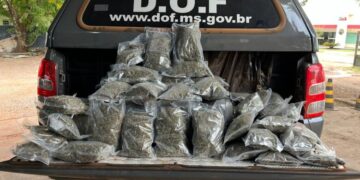 Passageiro que viajava de Ponta Porã para Campo Grande é preso com 10kg de skunk em bagagem