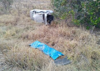 Motorista e cachorrinho m*rrem em capotagem na BR-359 em MS