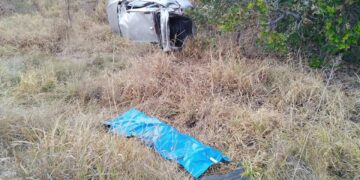 Motorista e cachorrinho m*rrem em capotagem na BR-359 em MS