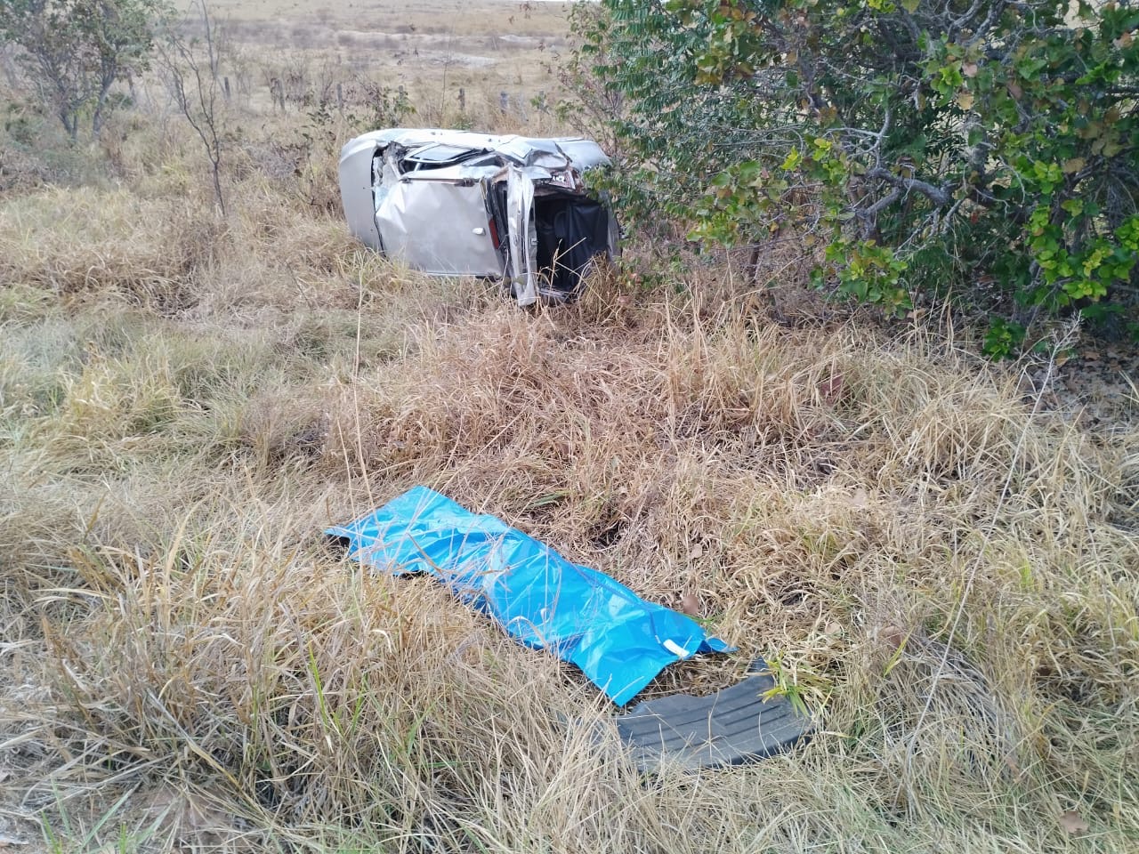 Motorista e cachorrinho m*rrem em capotagem na BR-359 em MS