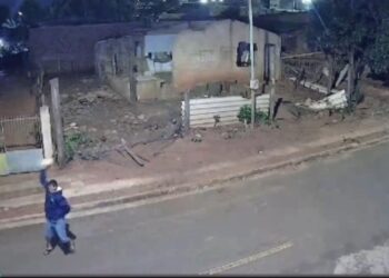 Cenas fortes: homem m*ta cadelinha a pedradas em Campo Grande 