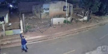 Cenas fortes: homem m*ta cadelinha a pedradas em Campo Grande 