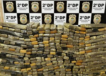 Mais de 615kg de drogas são interceptadas em dois caminhões que iriam de Dourados para São Paulo