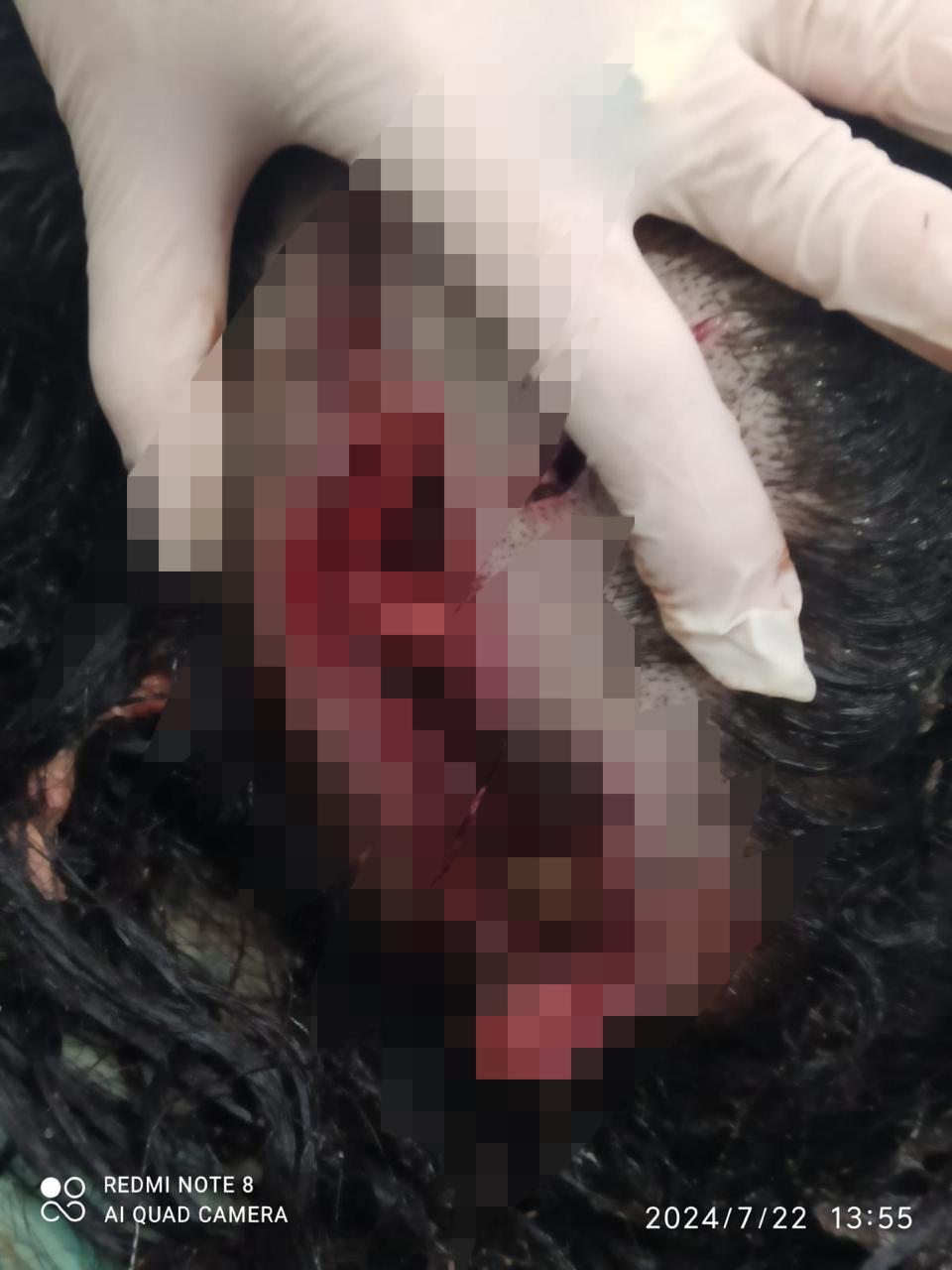 Homem pede prato de comida, esfaqueia moradora e soca boca de criança em MS