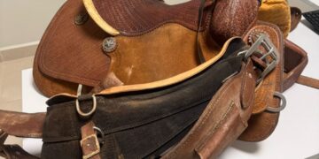 Acusado de furto de celas avaliadas em R$ 5 mil é  preso em Ribas do Rio Pardo