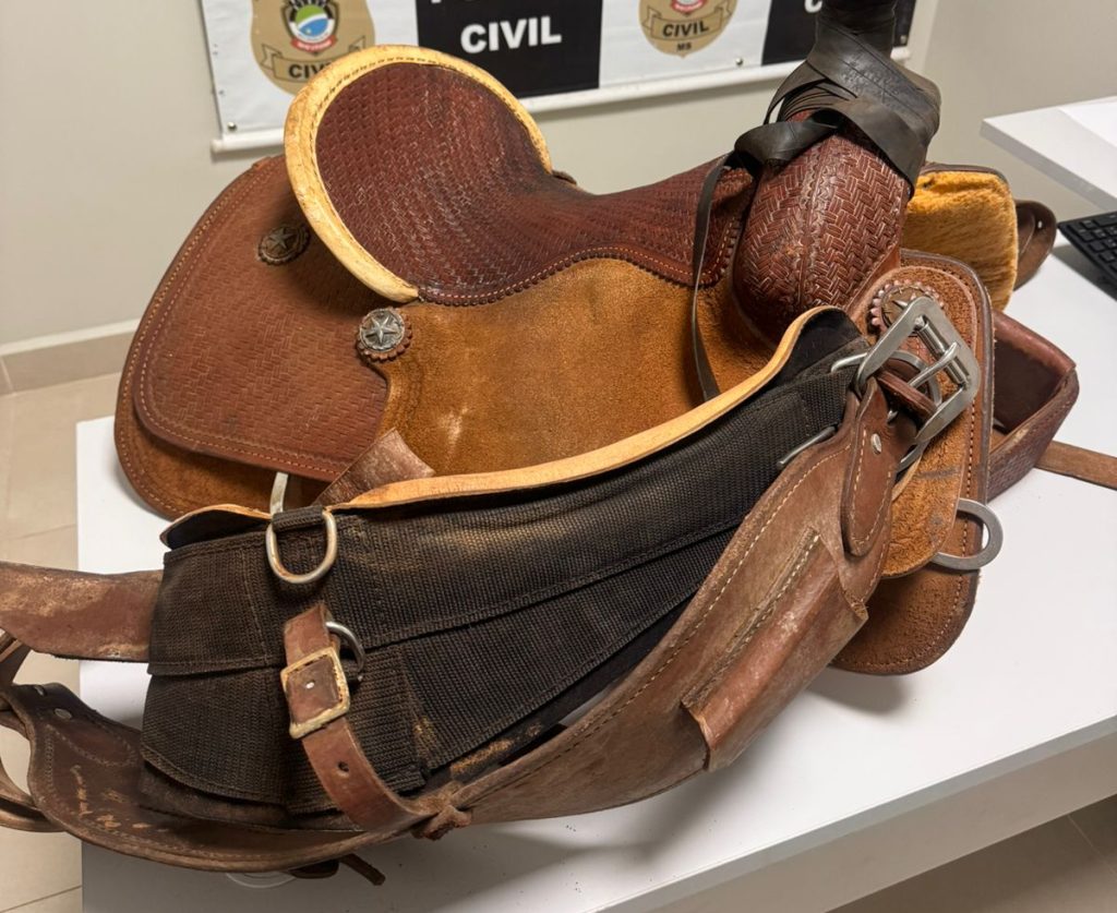 Acusado de furto de celas avaliadas em R$ 5 mil é  preso em Ribas do Rio Pardo