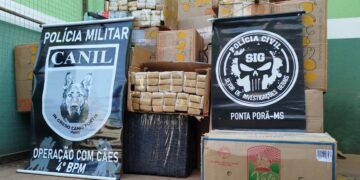 Quase duas toneladas de maconha são apreendidas em Ponta Porã
