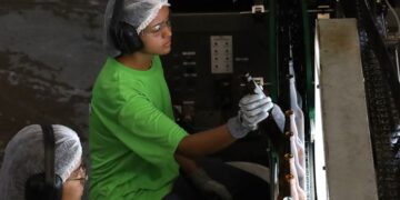 Mato Grosso do Sul tem 4.877 vagas de emprego em 35 municípios do Estado